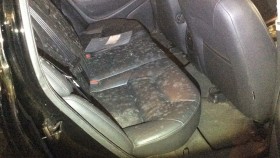 内装後方シート