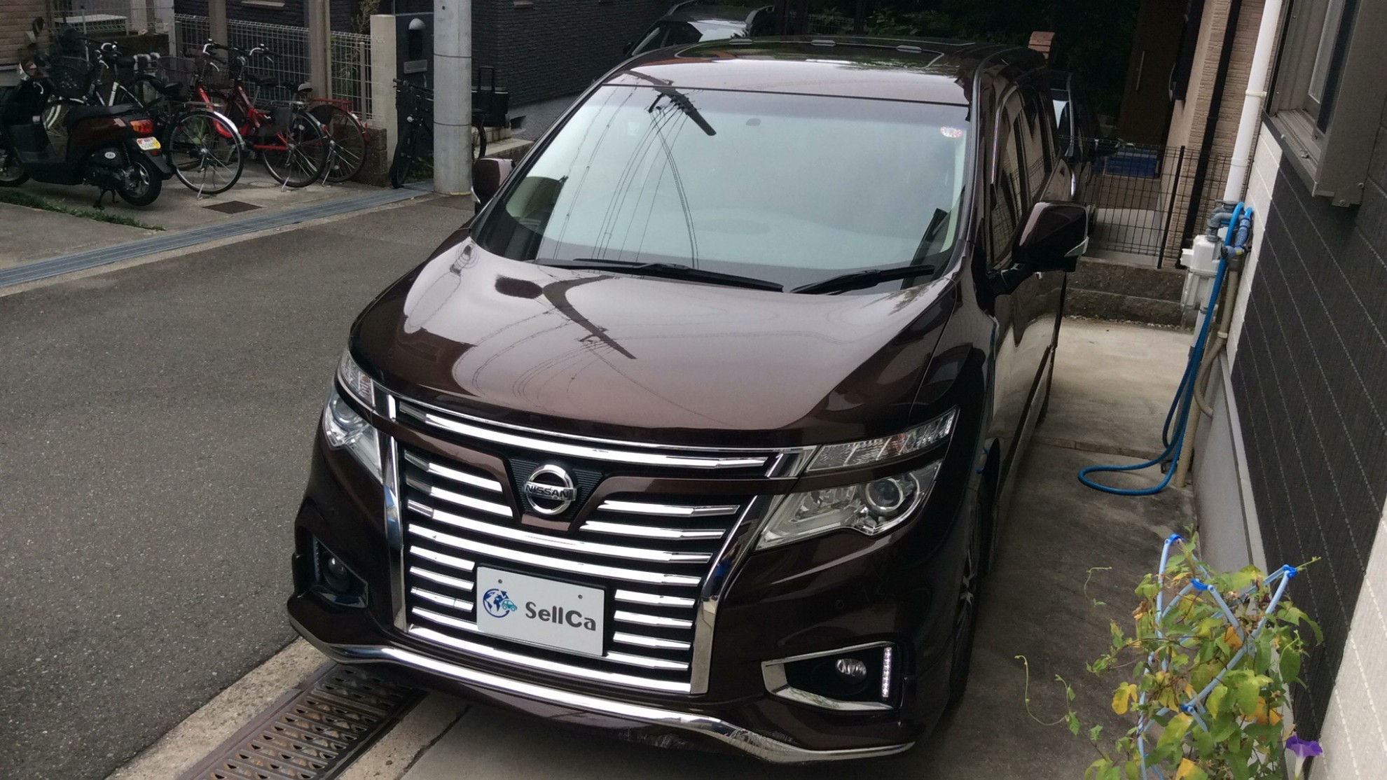 日産 エルグランドの売買実績画像