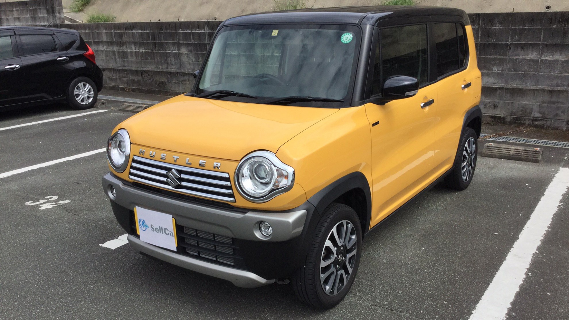 スズキ ハスラーの売買実績画像