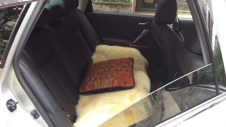 内装後方シート