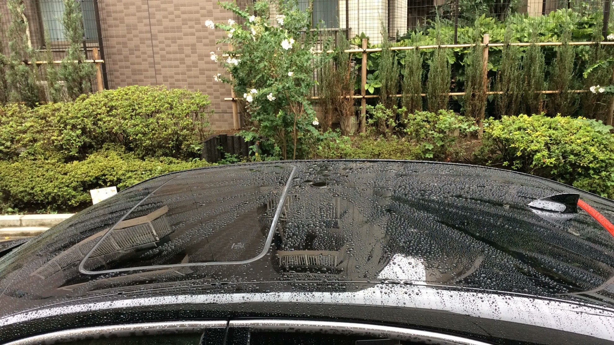 外装右前