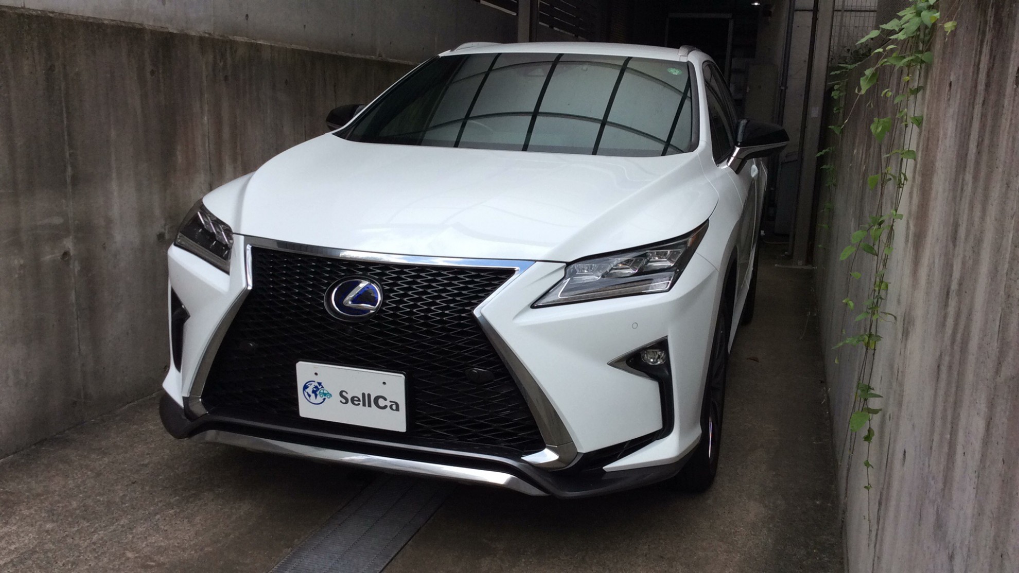 レクサス ＲＸの売買実績画像