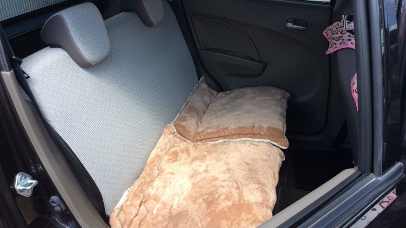 内装後方シート