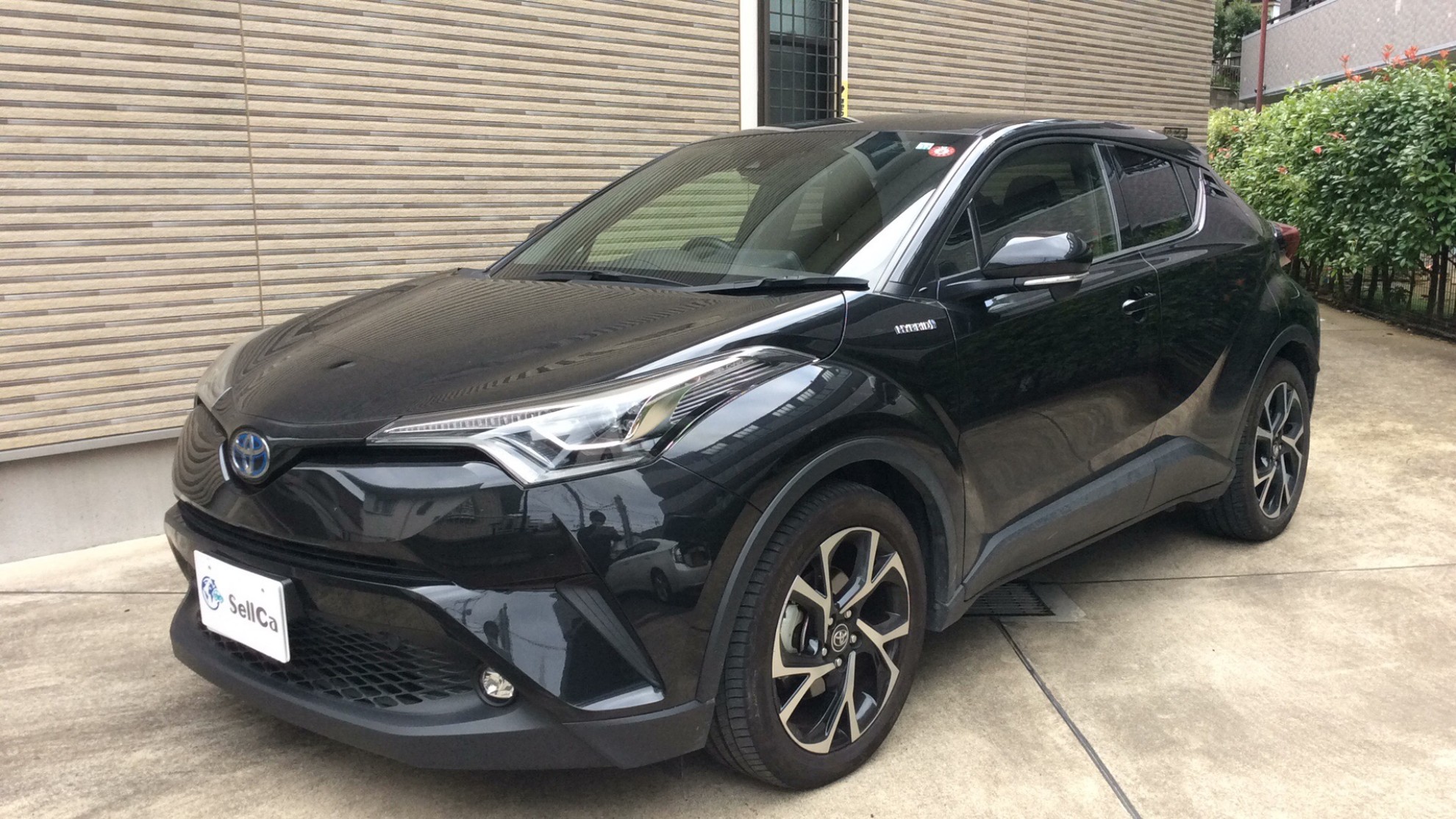 トヨタ Ｃ－ＨＲの売買実績画像