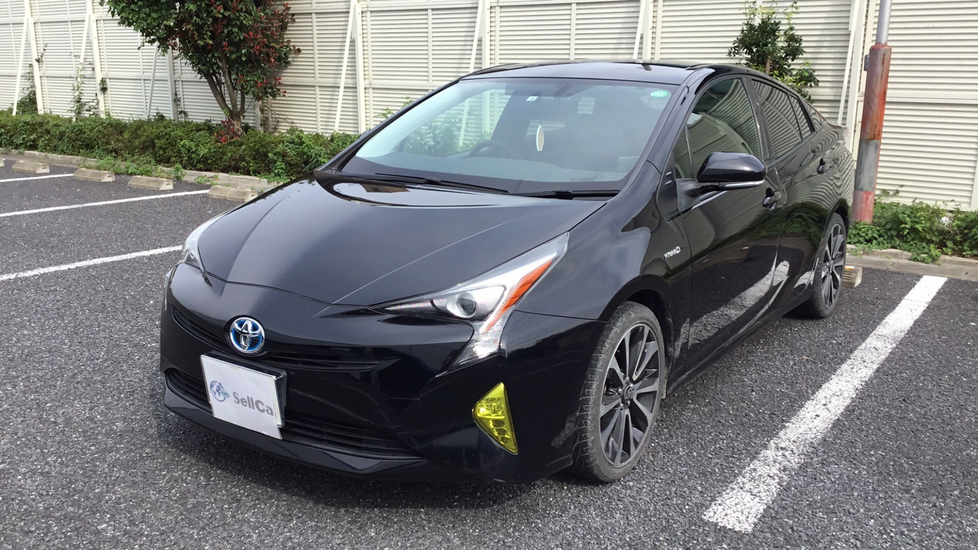 トヨタ プリウスの売買実績画像