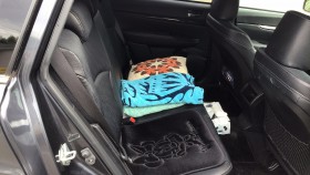 内装後方シート