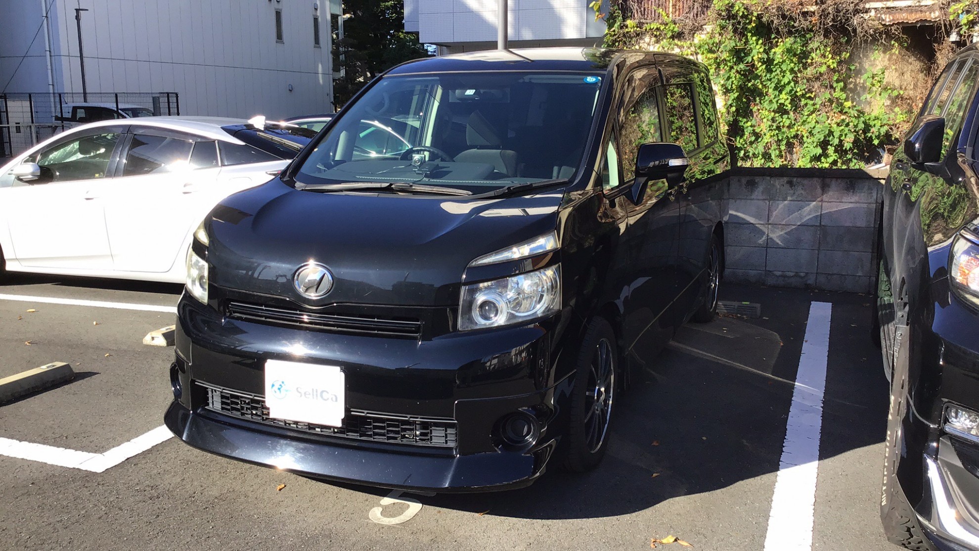 トヨタ ヴォクシーの売買実績画像