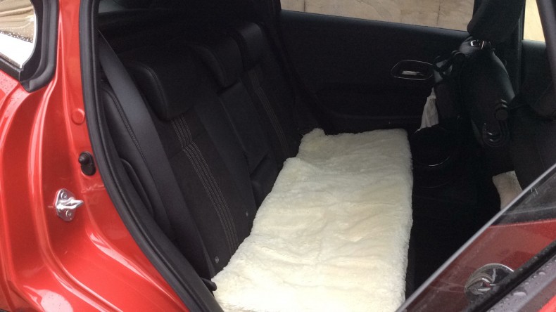 内装後方シート