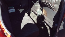 内装後方シート