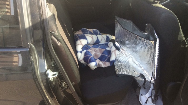 内装後方シート