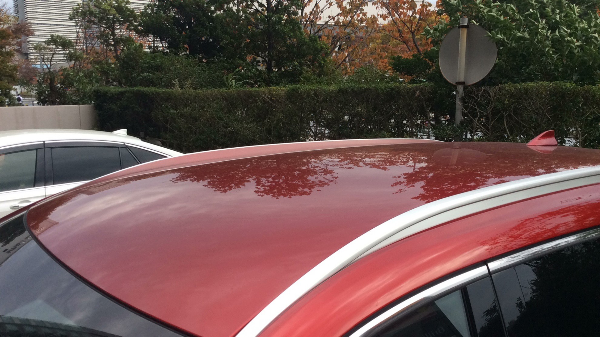 外装右