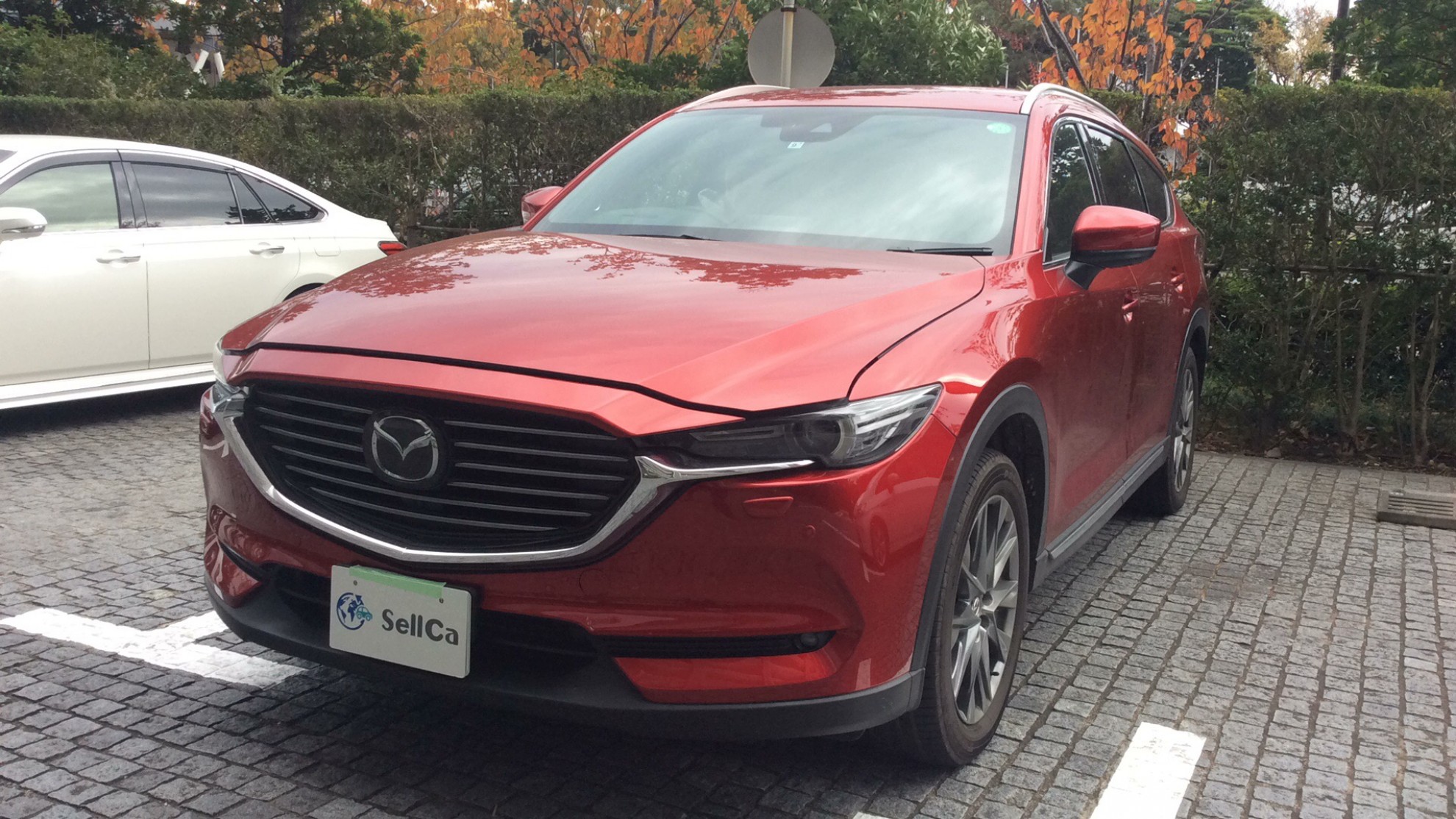 マツダ ＣＸ－８の売買実績画像