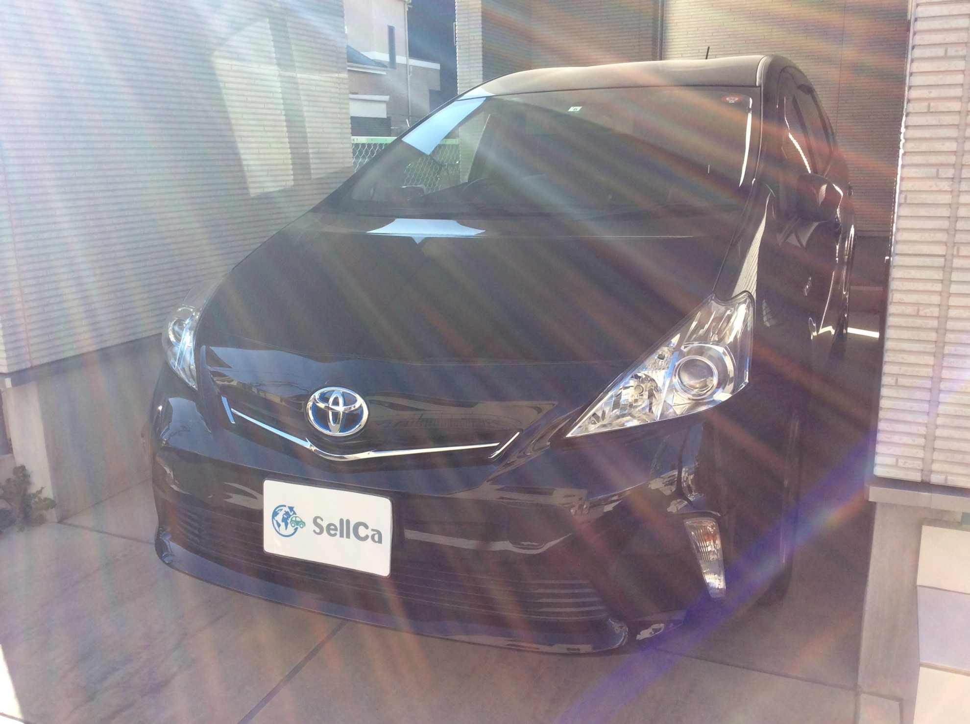 トヨタ プリウスαの売買実績画像