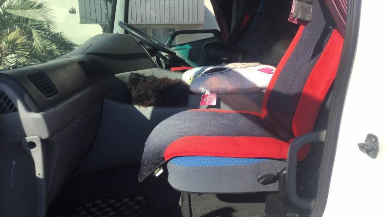 内装後方シート