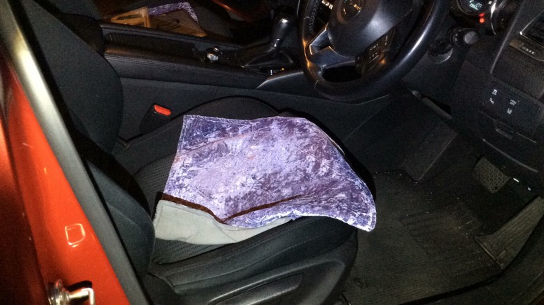 内装前方シート