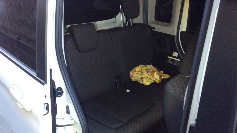 内装後方シート