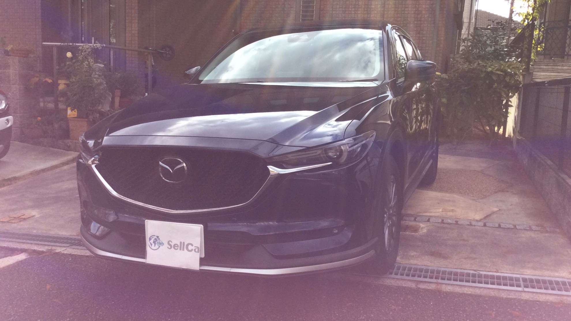 マツダ ＣＸ－５の売買実績画像