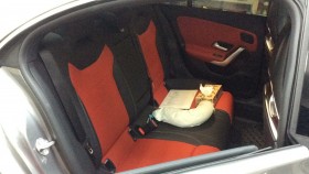 内装後方シート