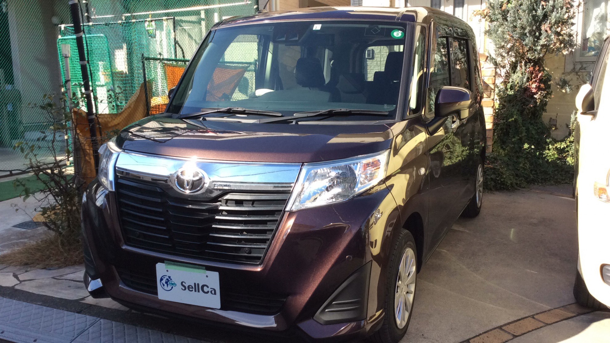 トヨタ ルーミーの売買実績画像