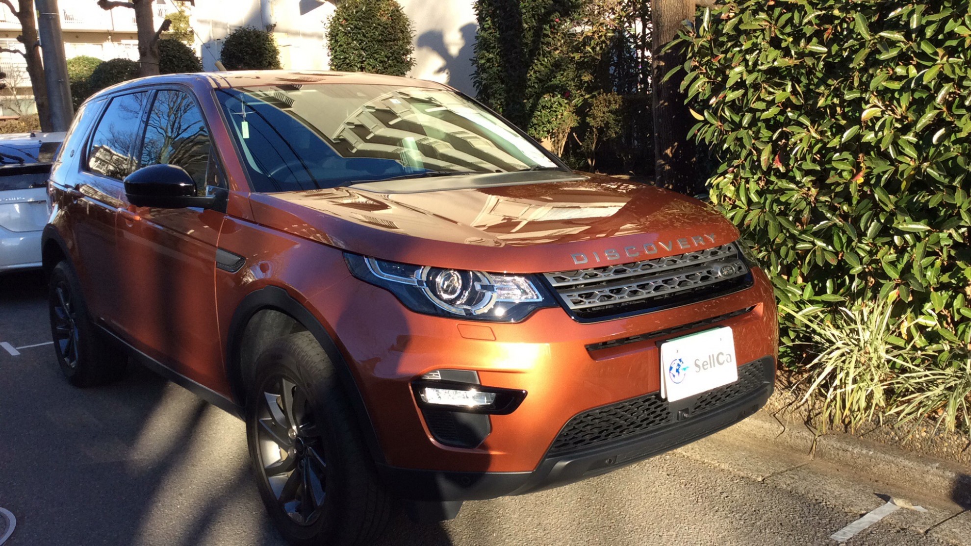 ランドローバー ディスカバリースポーツの売買実績画像