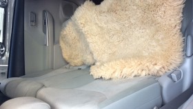 内装後方シート