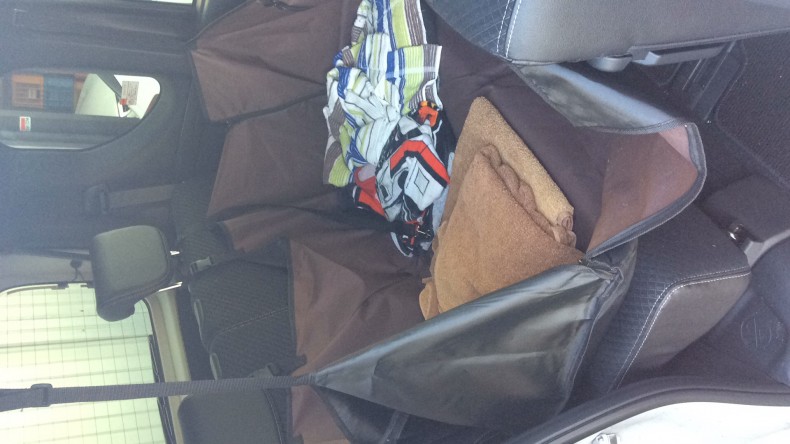 内装後方シート