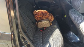 内装後方シート