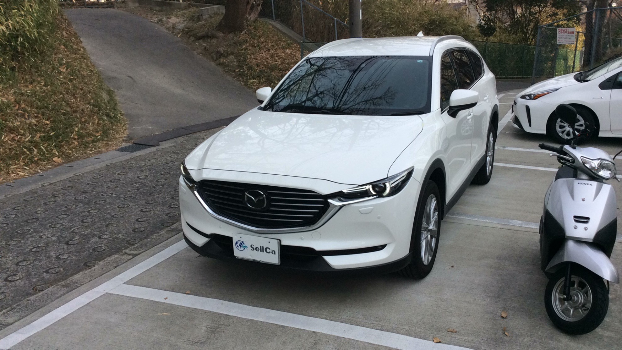 マツダ ＣＸ－８の売買実績画像