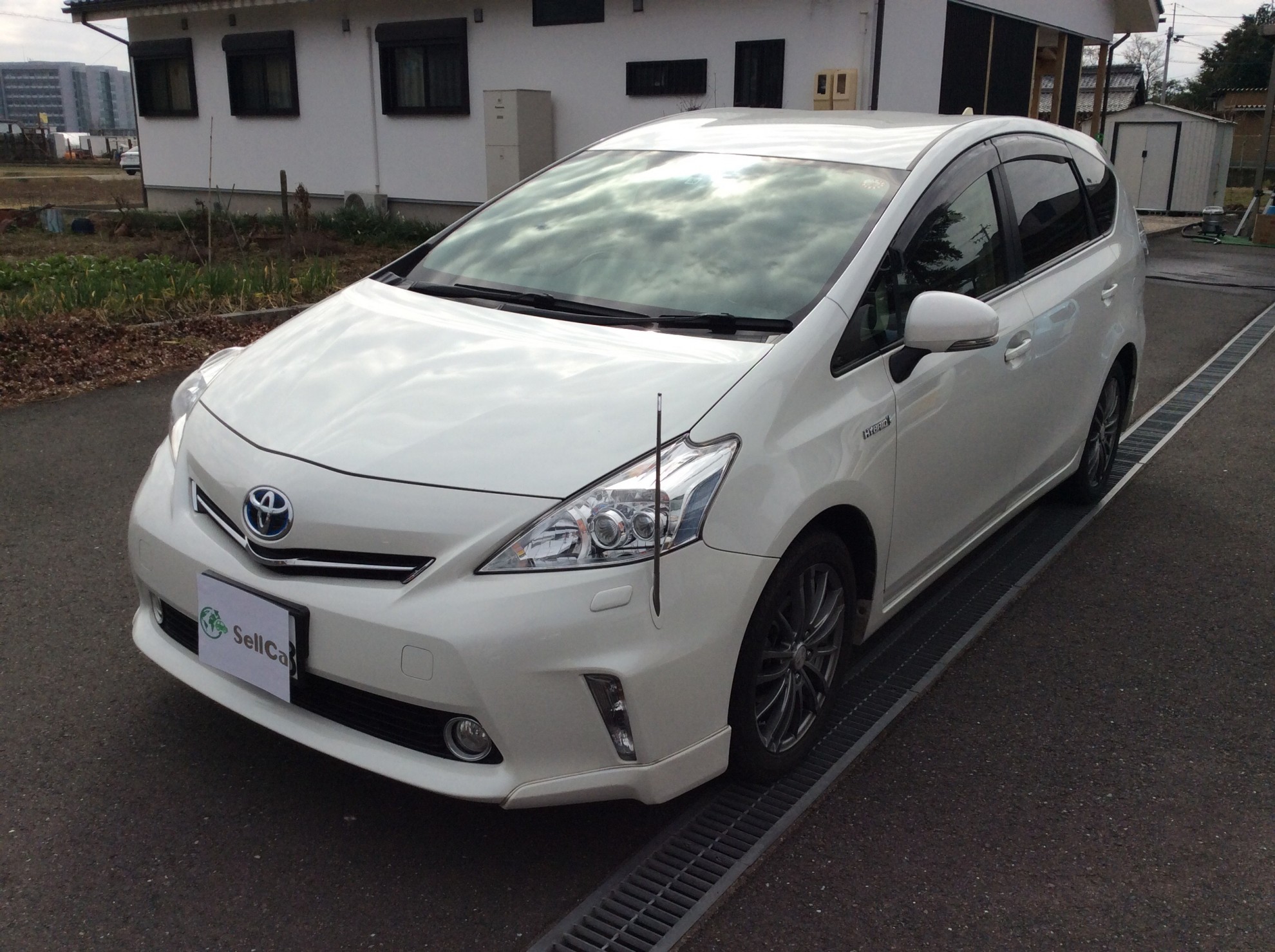 トヨタ プリウスαの売買実績画像