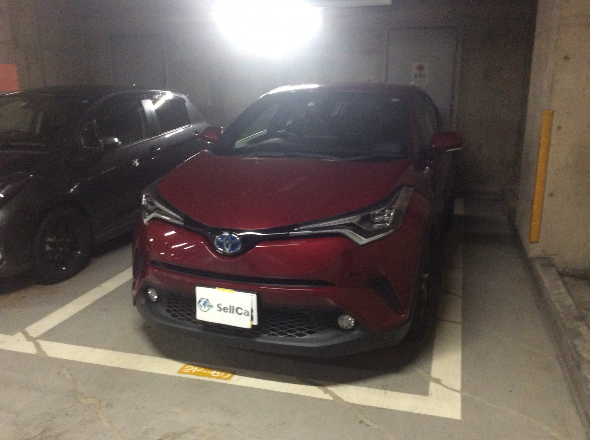 トヨタ Ｃ－ＨＲの売買実績画像