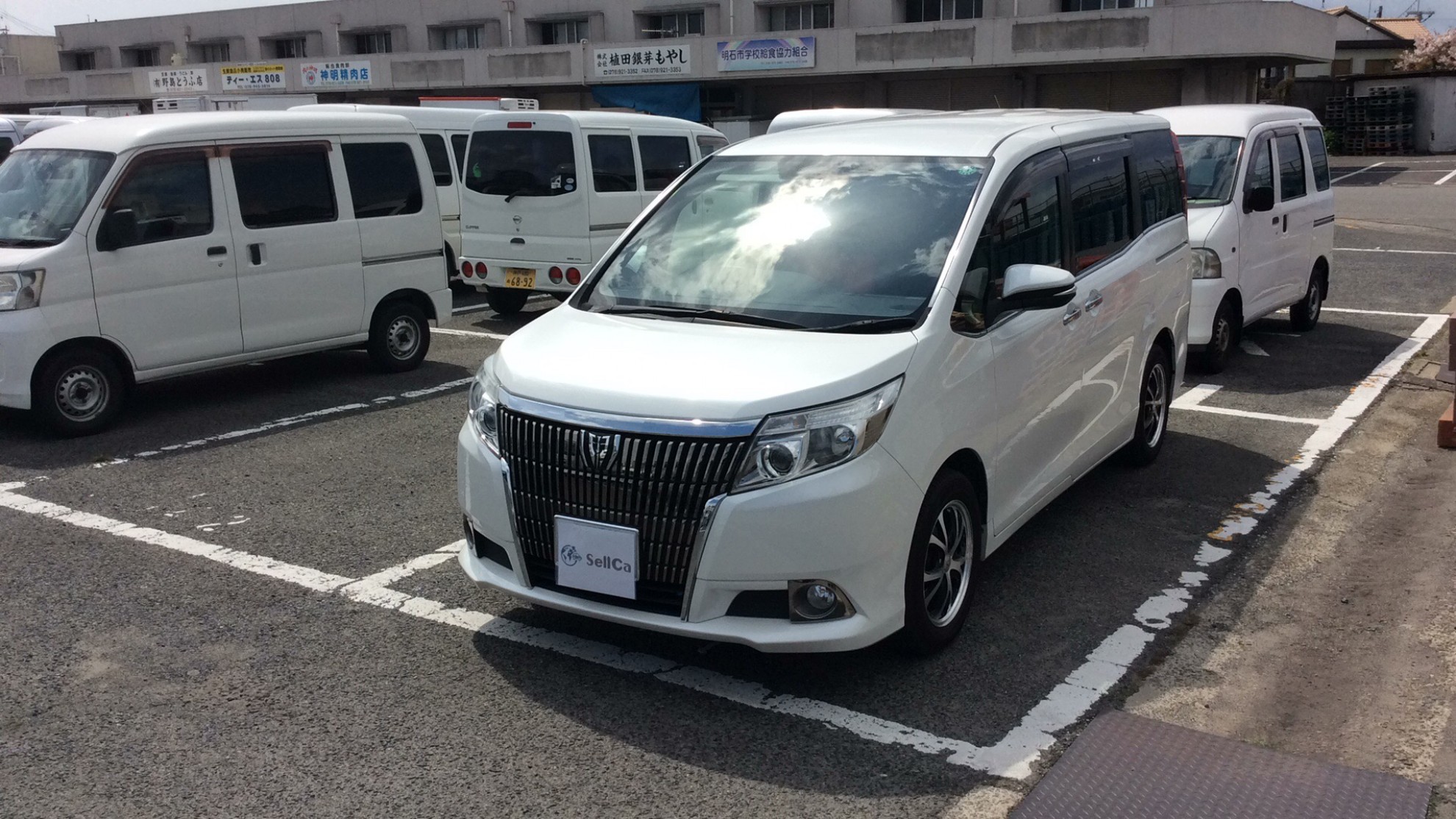 トヨタ エスクァイアの売買実績画像