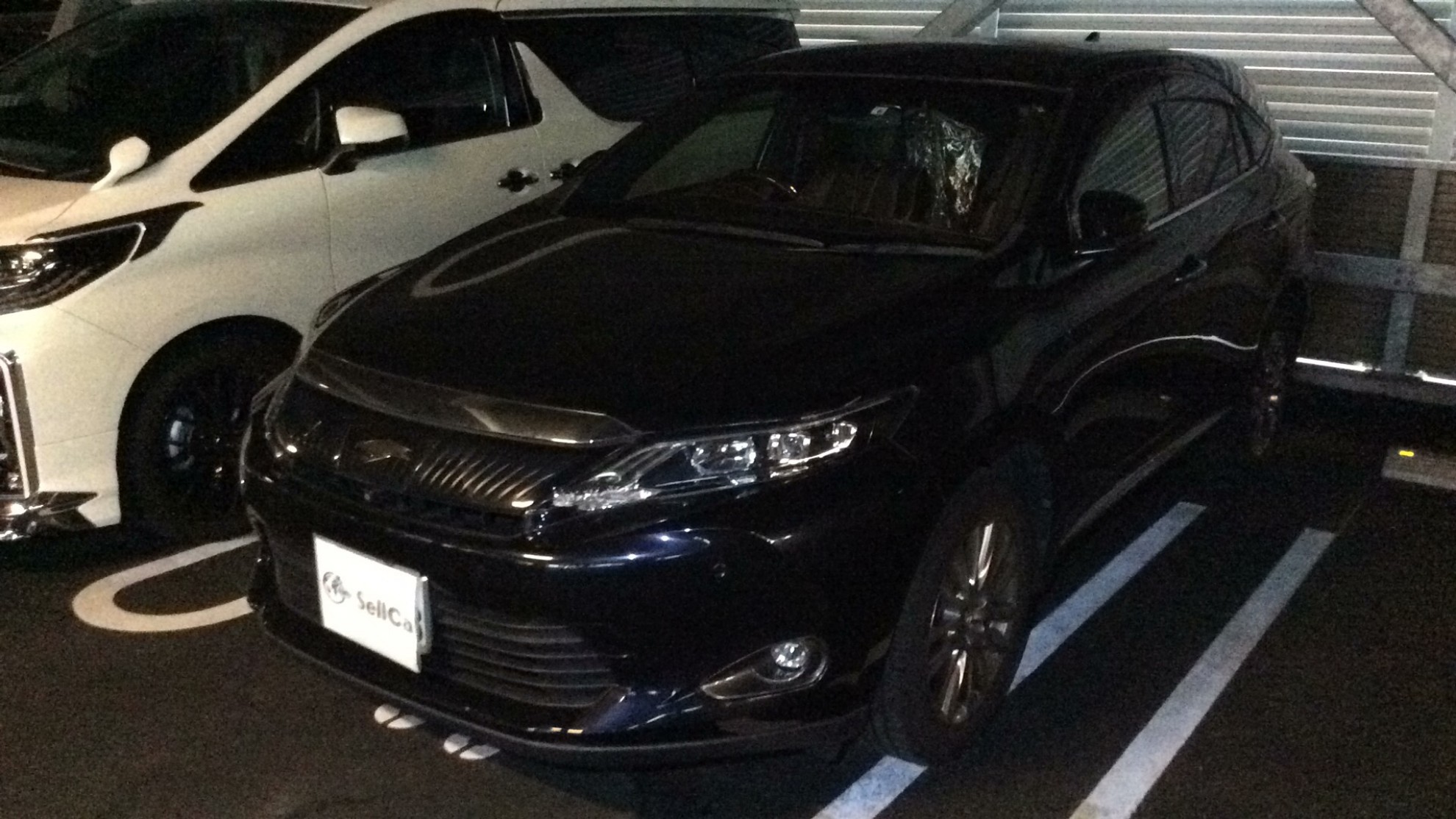 トヨタ ハリアーの売買実績画像