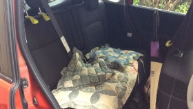 内装後方シート