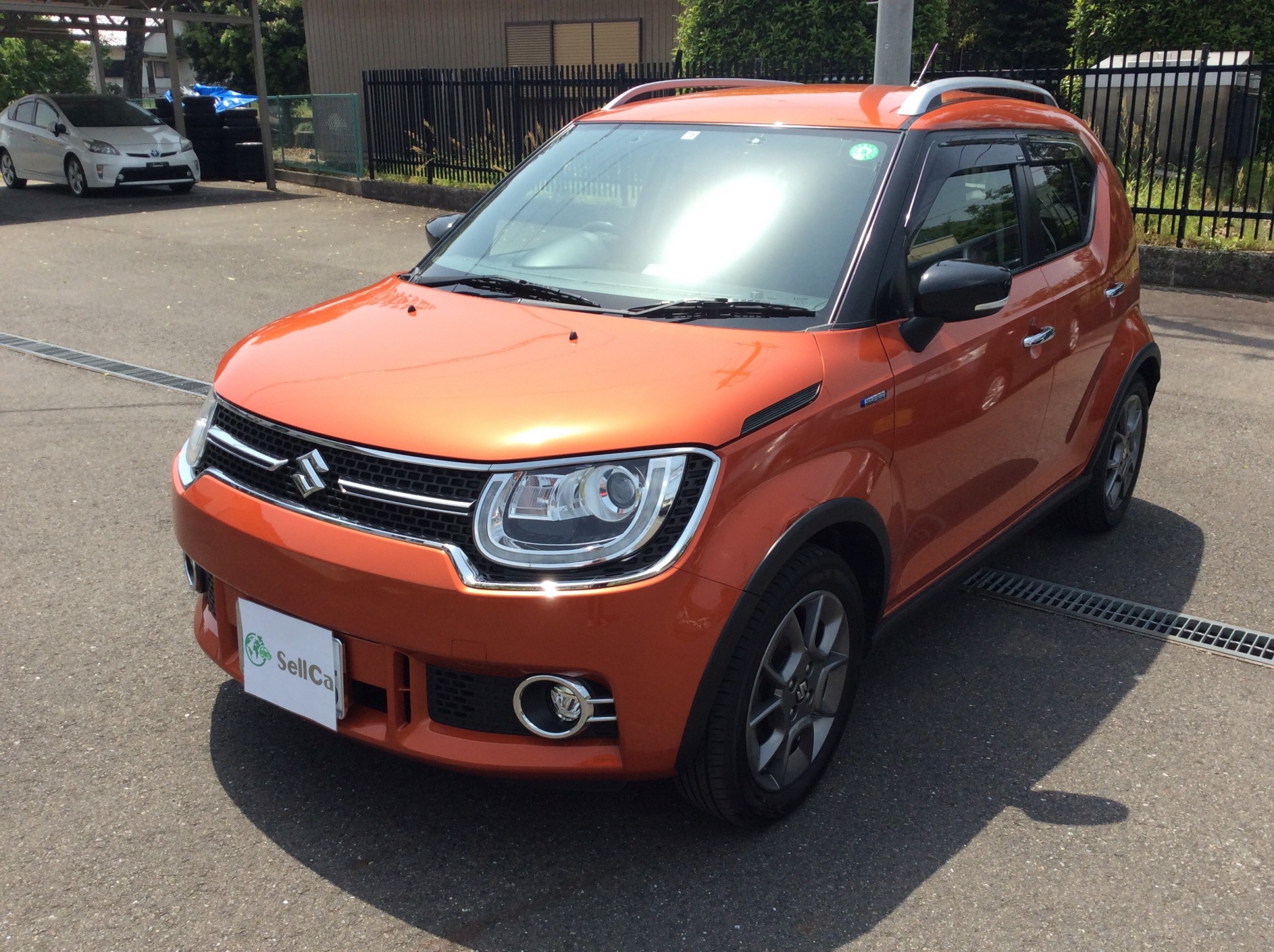 スズキ イグニスの売買実績画像