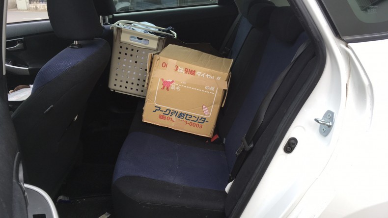 内装後方シート