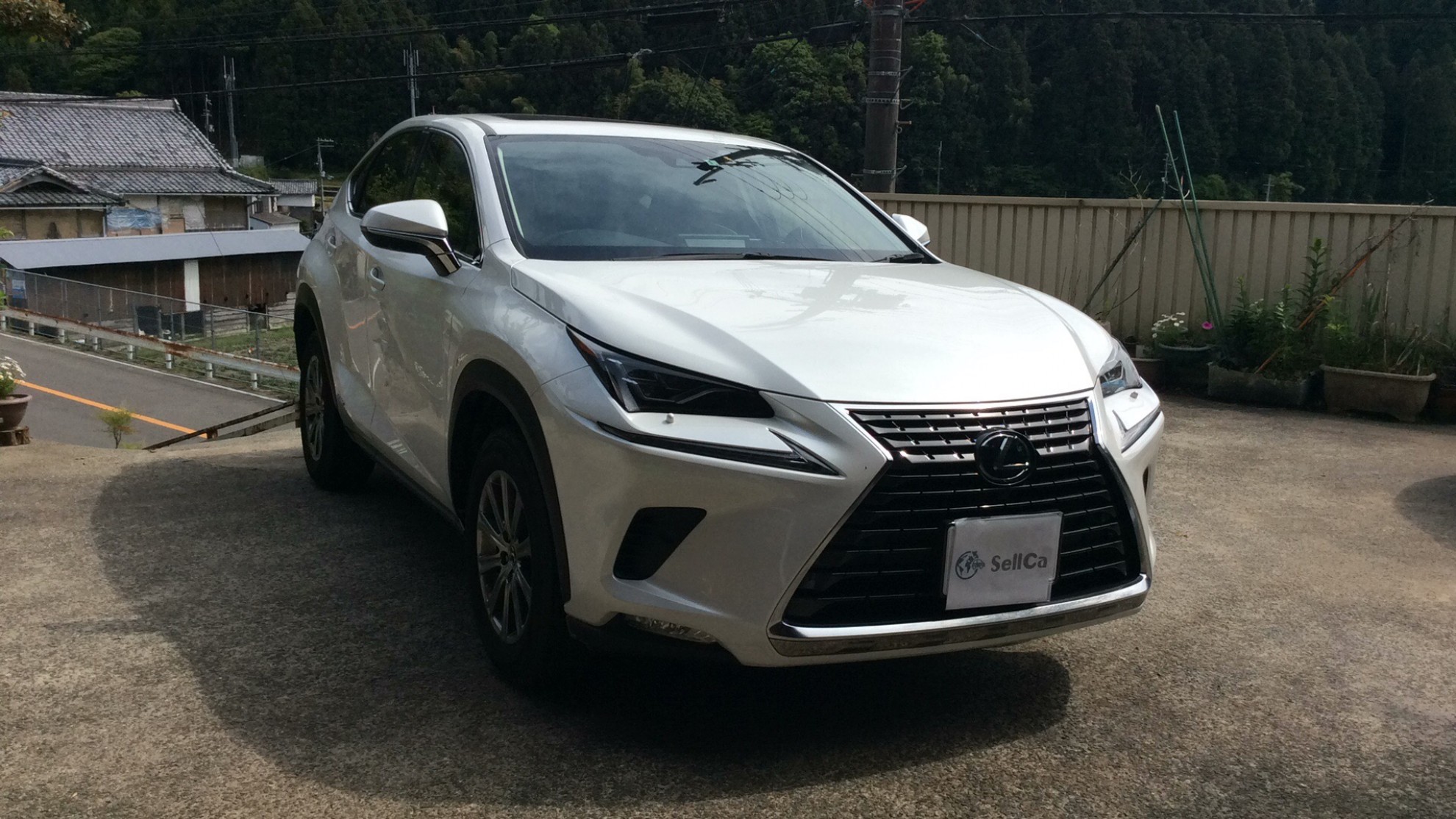 レクサス ＮＸの売買実績画像