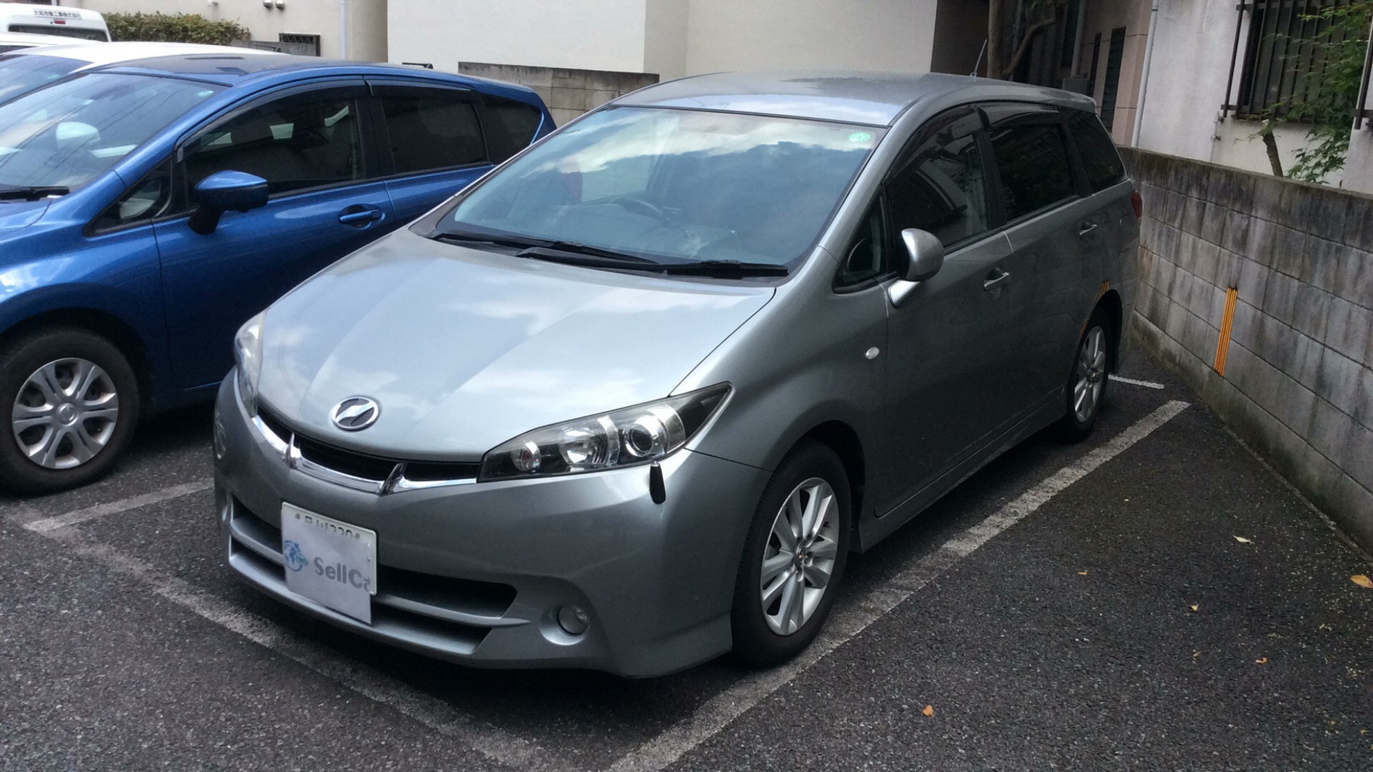 トヨタ ウィッシュの売買実績画像