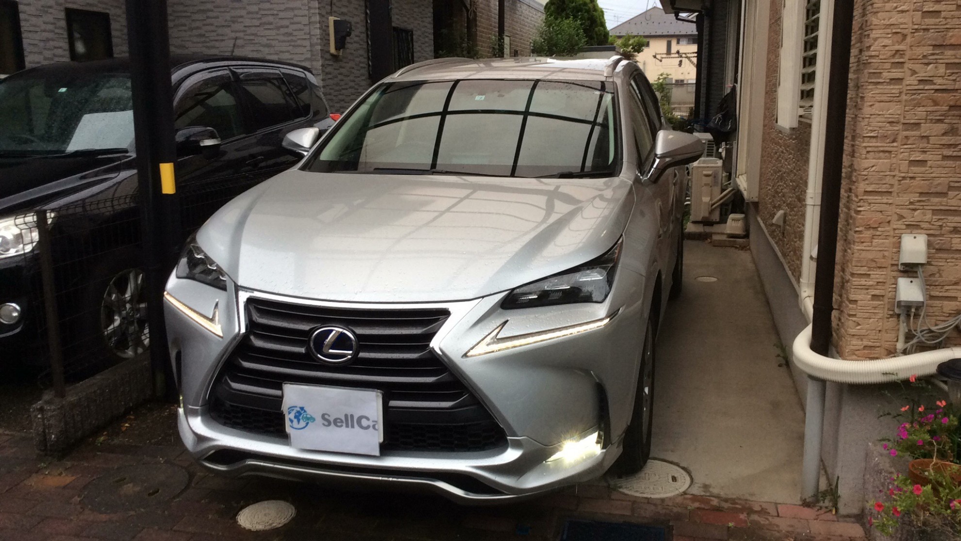 レクサス NXの売買実績画像