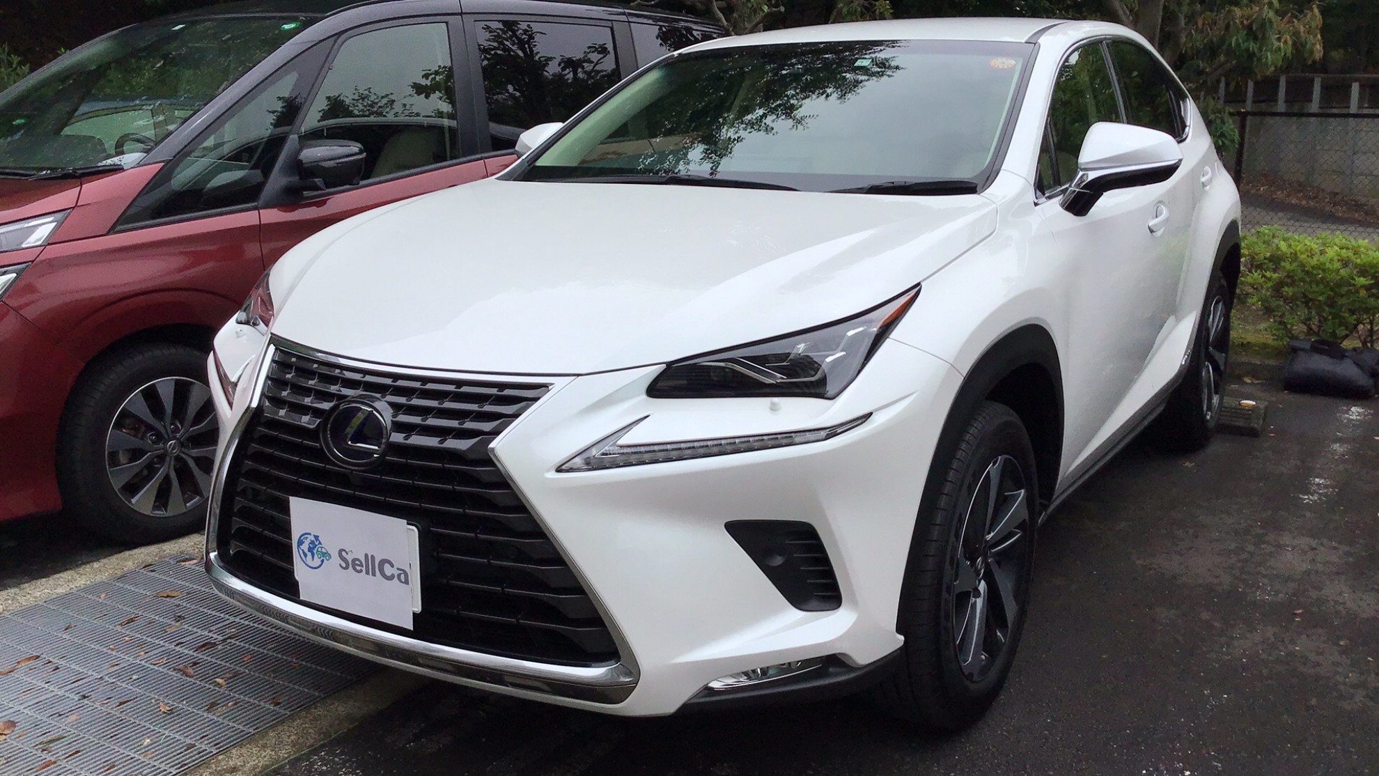レクサス ＮＸの売買実績画像