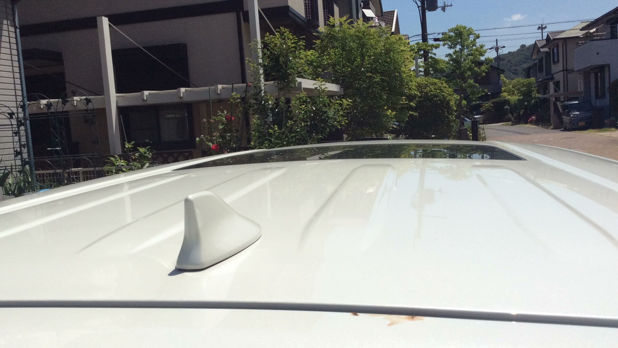 正面ルーフ