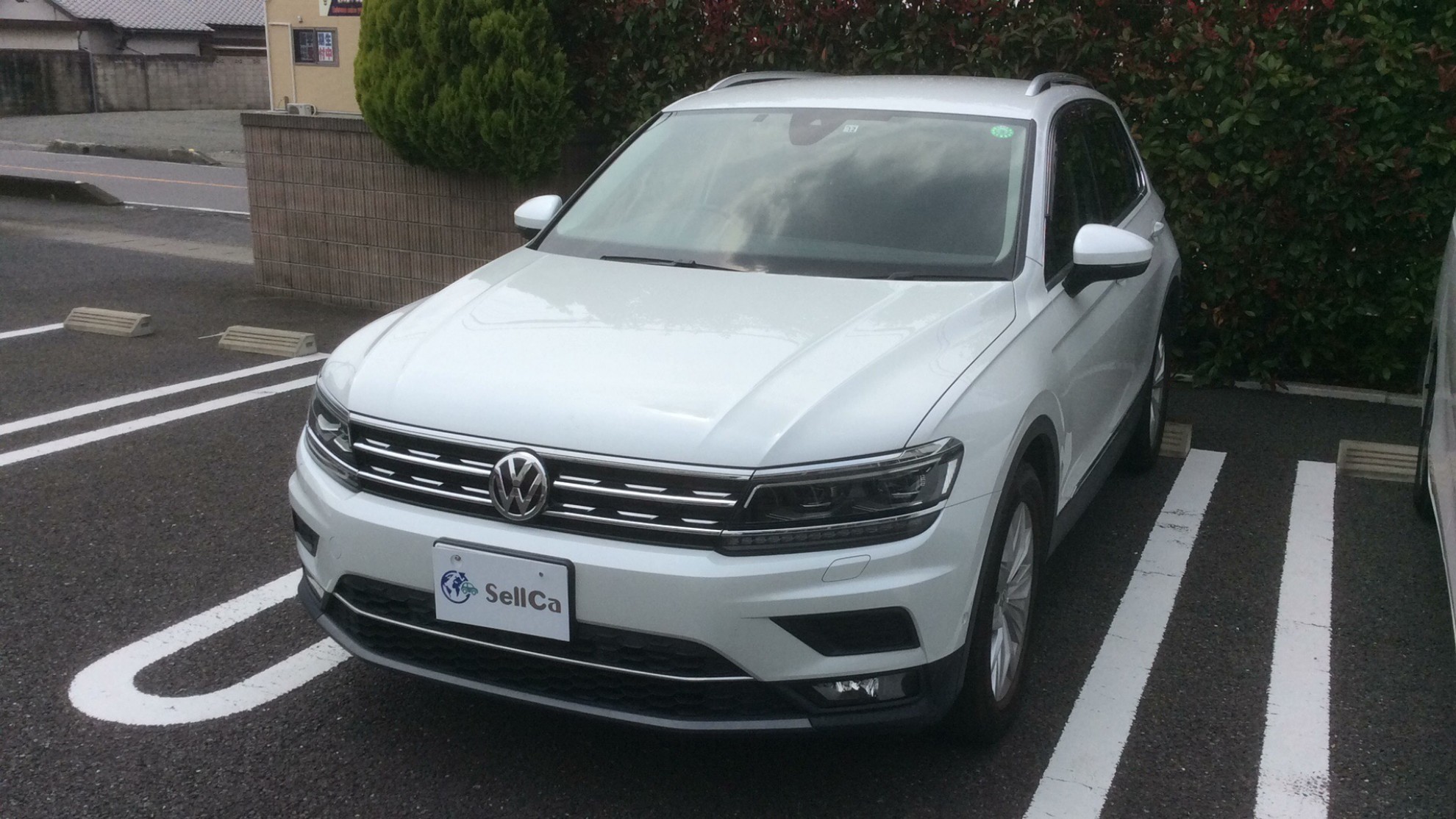 フォルクスワーゲン ティグアンの売買実績画像