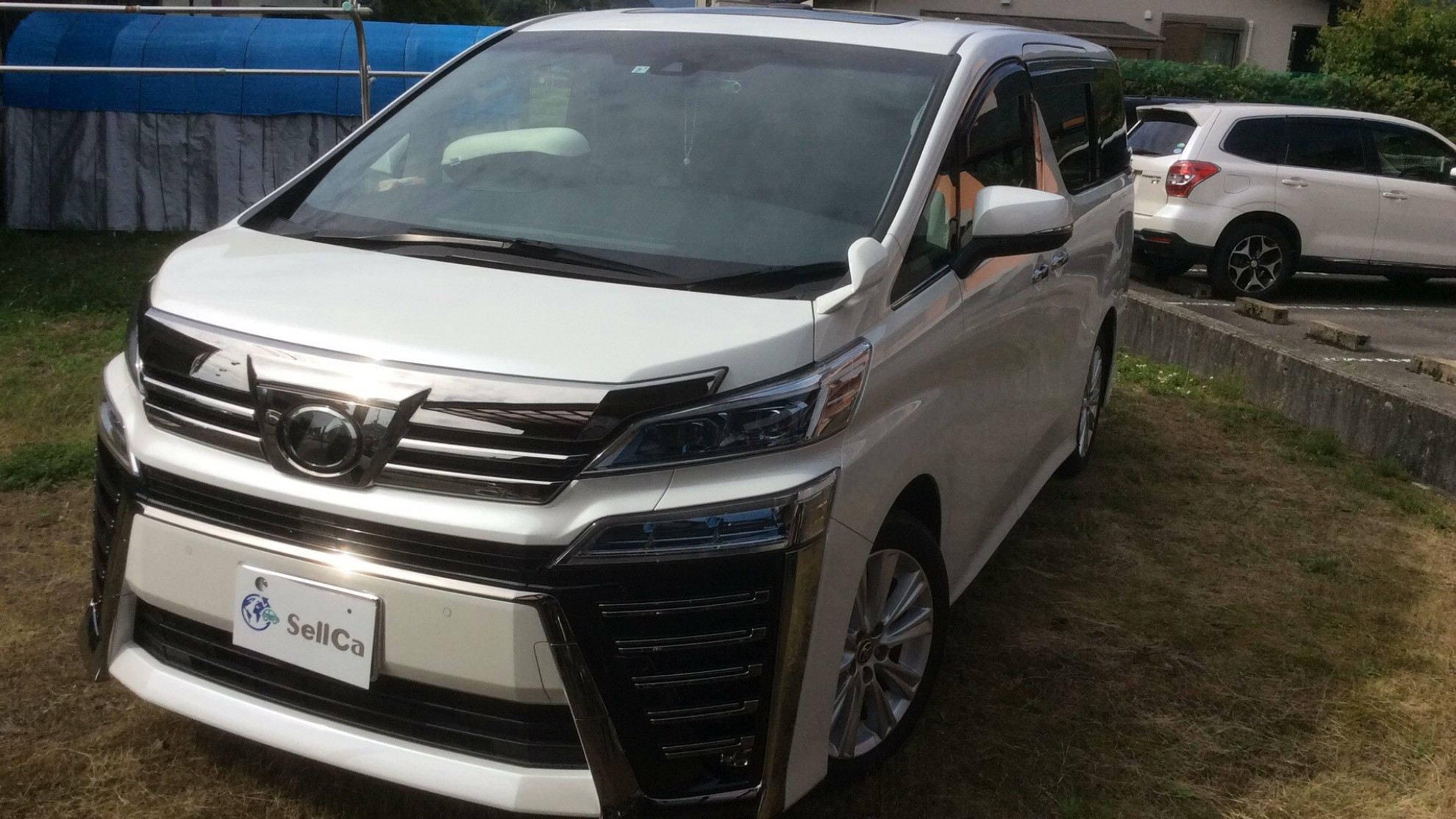 トヨタ ヴェルファイアの売買実績画像