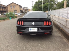 外装後方