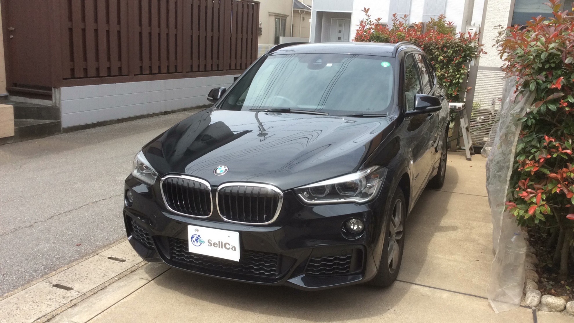 ＢＭＷ Ｘ１の売買実績画像