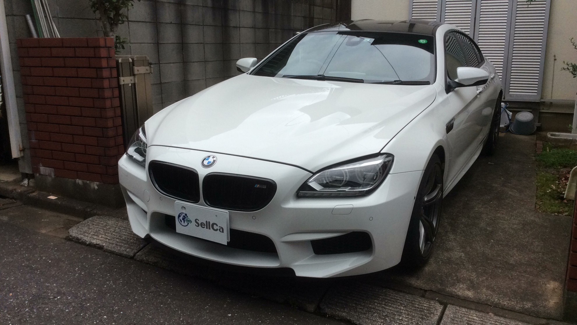 ＢＭＷ Ｍ６の売買実績画像