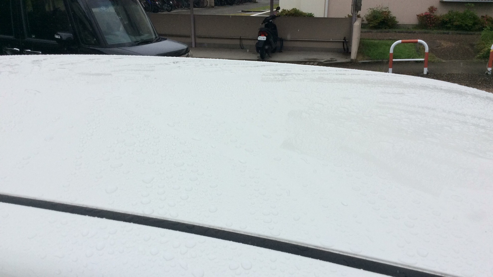 正面ルーフ