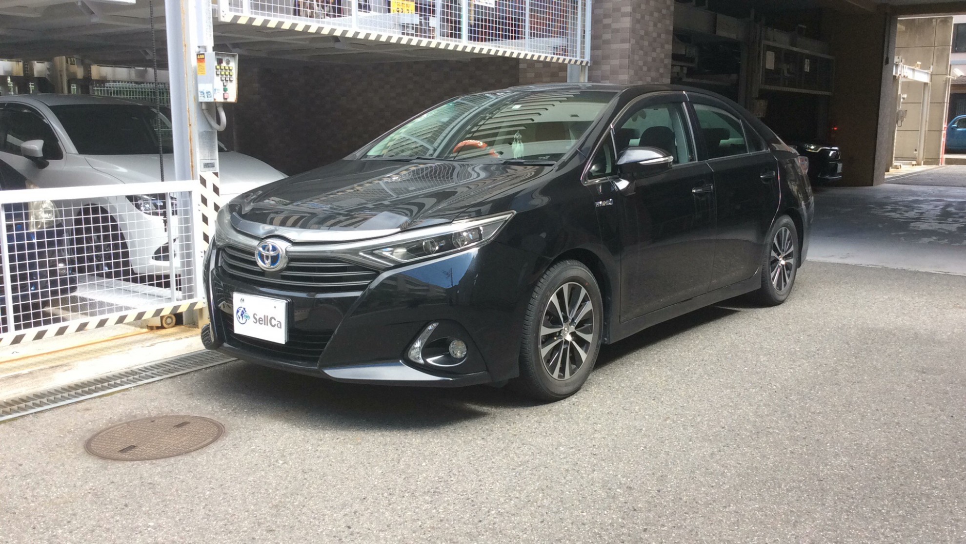 トヨタ ＳＡＩの売買実績画像