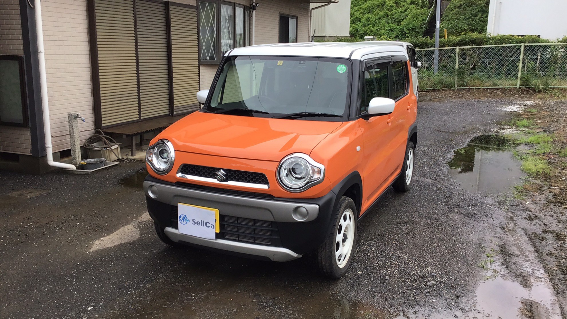 スズキ ハスラーの売買実績画像