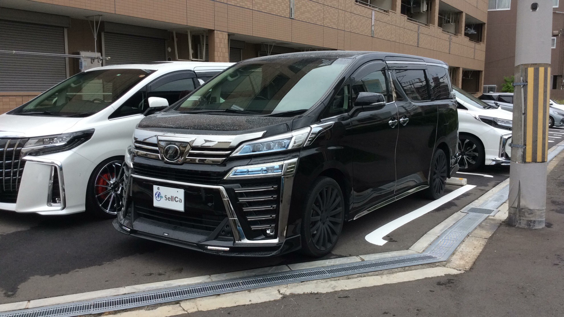 トヨタ ヴェルファイアの売買実績画像