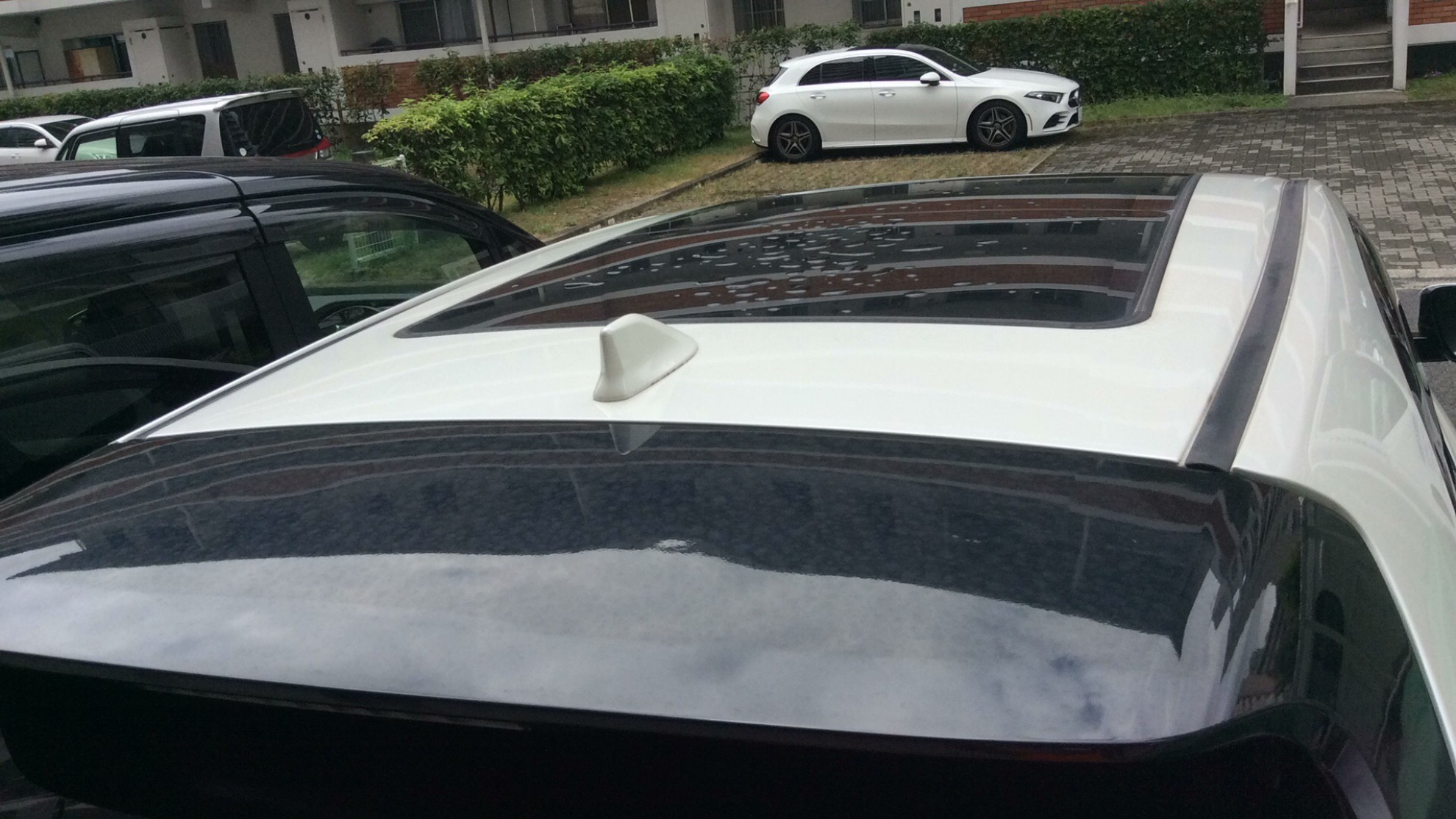 正面ルーフ